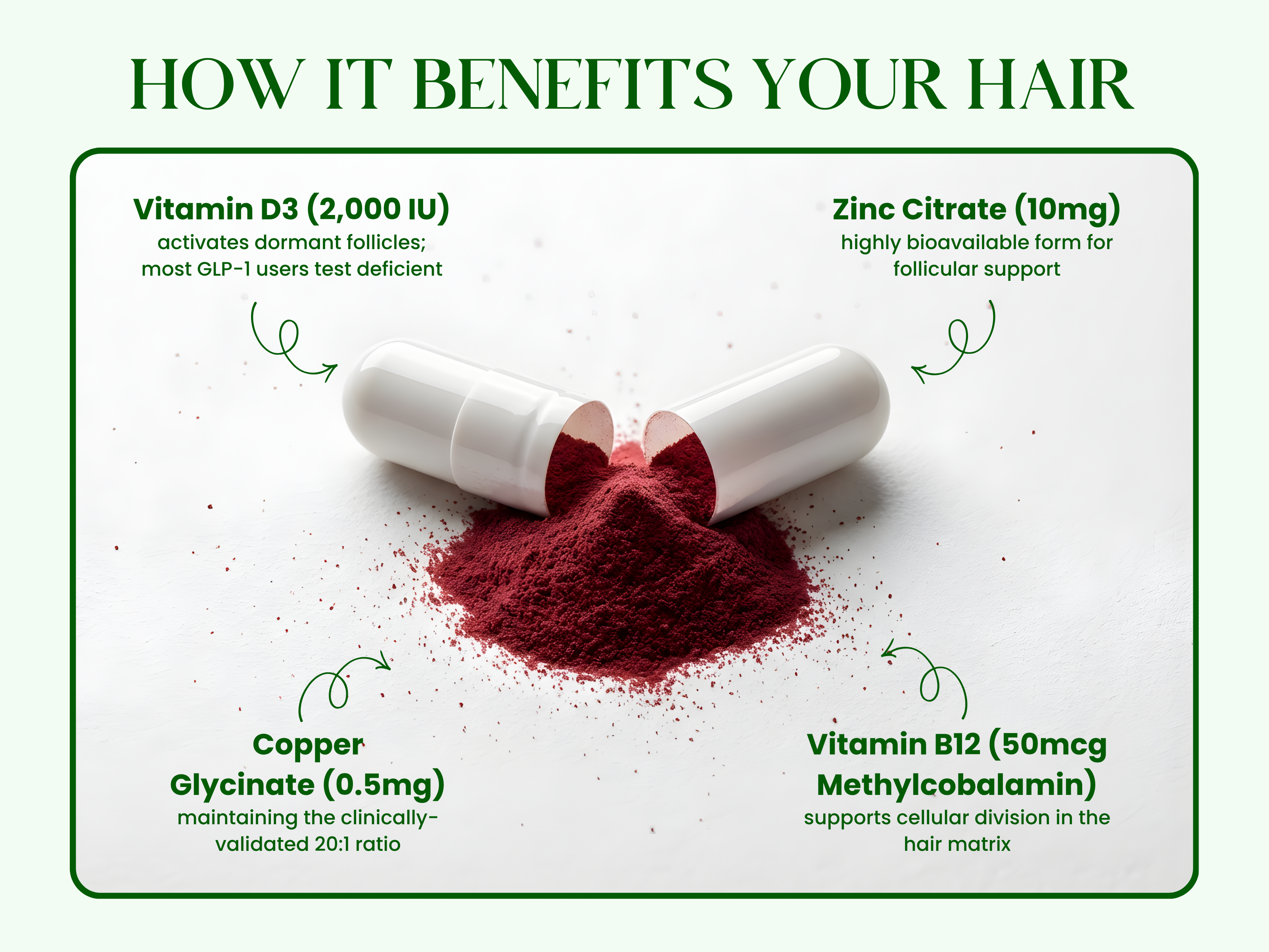 Hair follicle formulation ingredients