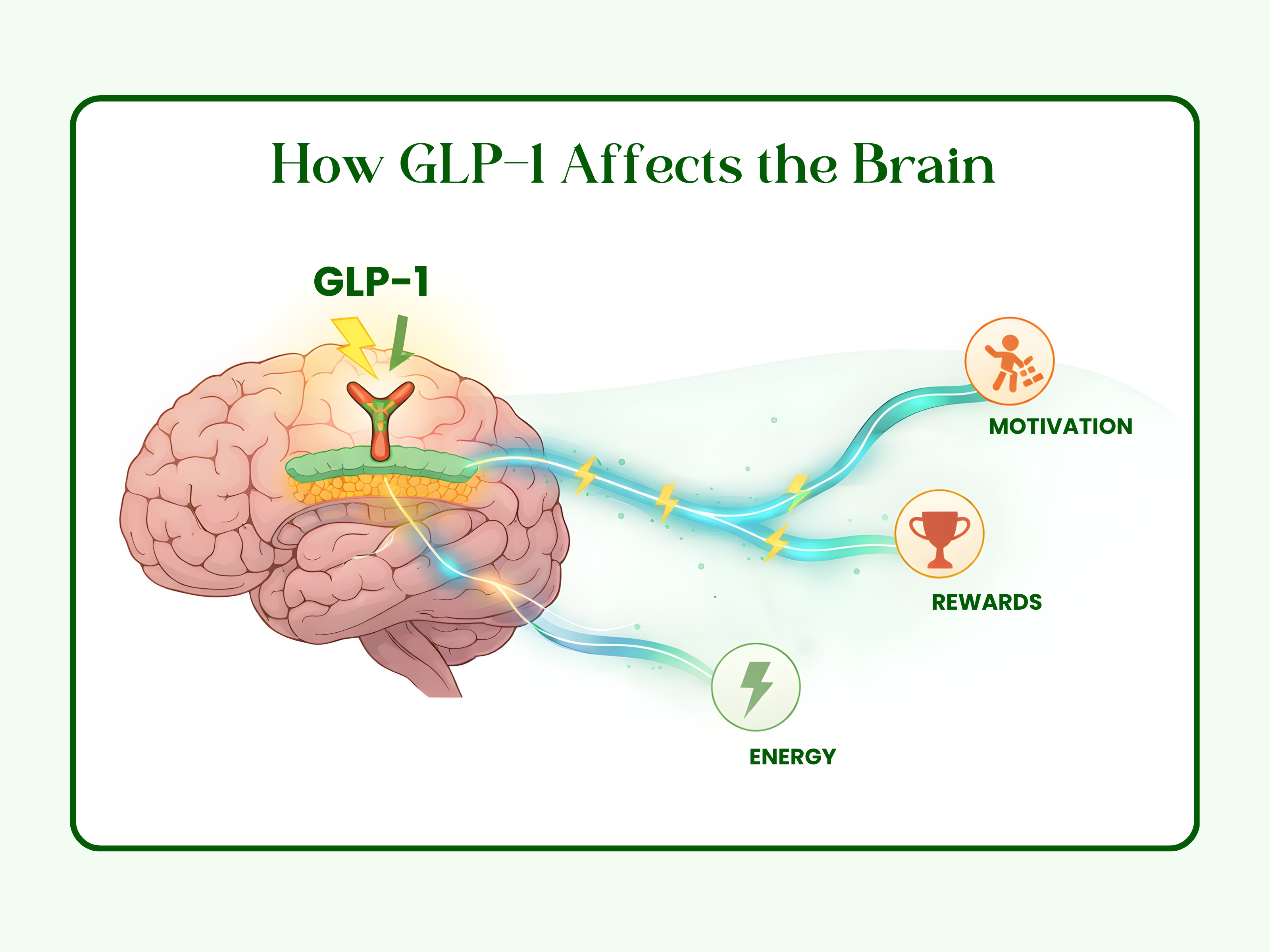 Dopamine pathway function
